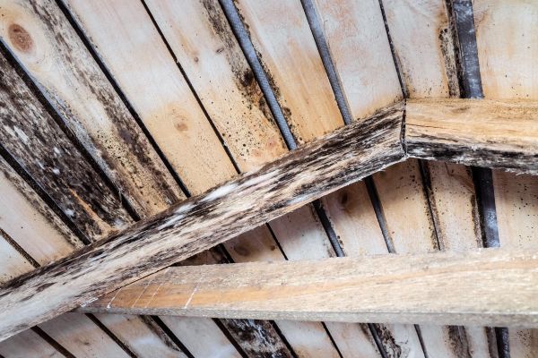 Rotted Joist Repair Service